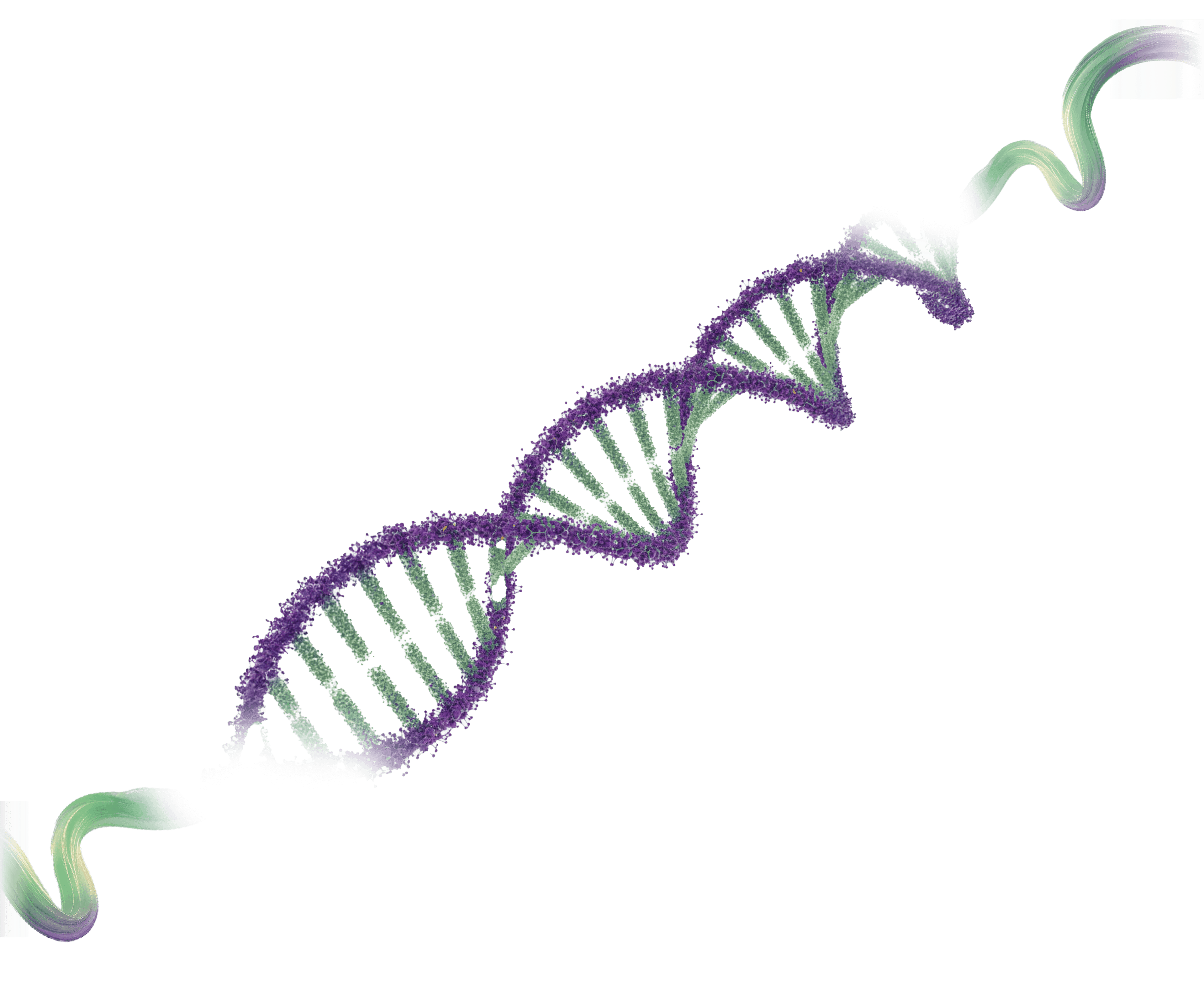 background illustration